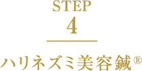 STEP4 簡易矯正